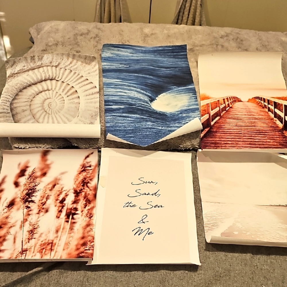 Set of 6 Coastal and Nature Art Prints